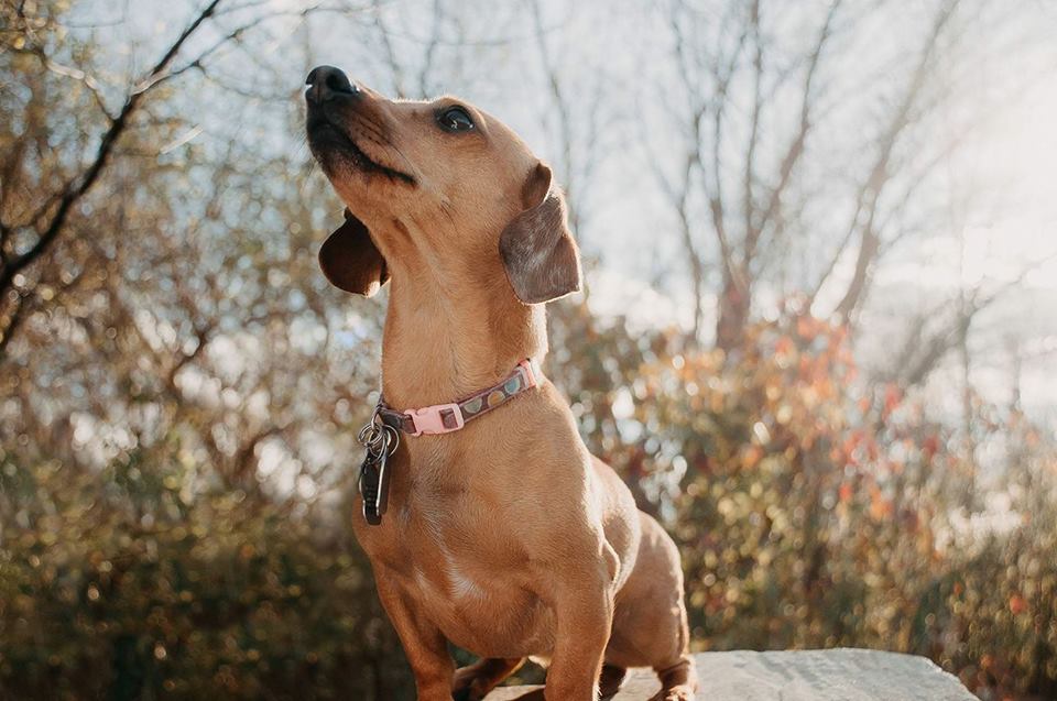 Pride and Petulance (Part&nbsp;2)