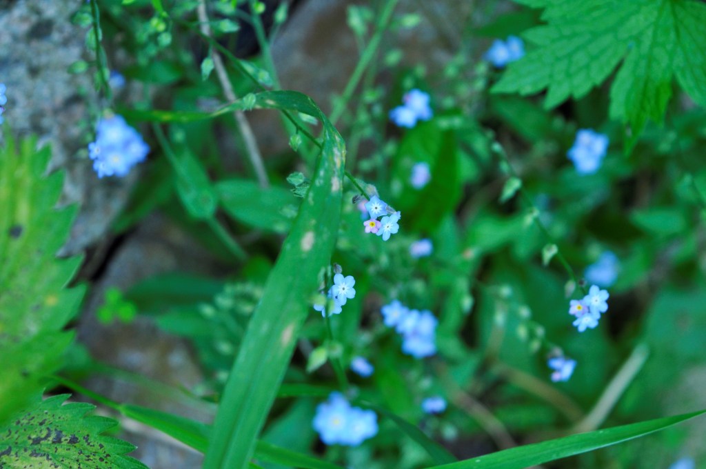 Celebrating Brokenness