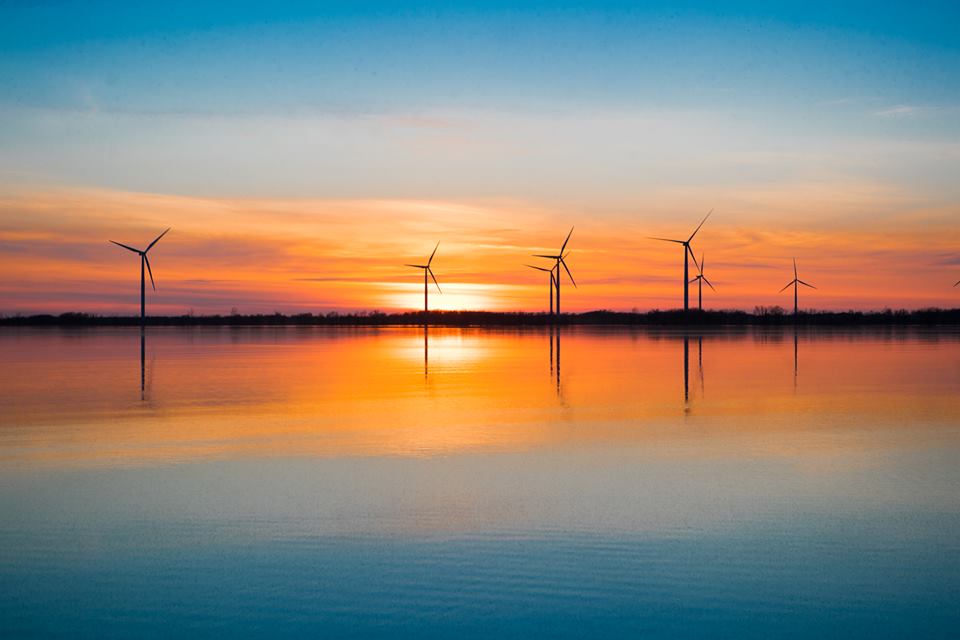 Being Brave: Being&nbsp;Vulnerable