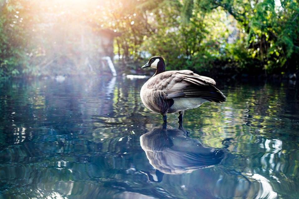 Beginning Again and&nbsp;Again