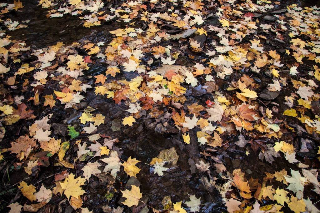 The Problem With The&nbsp;Gospel